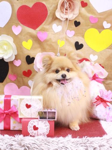 20230210梛都ちゃん